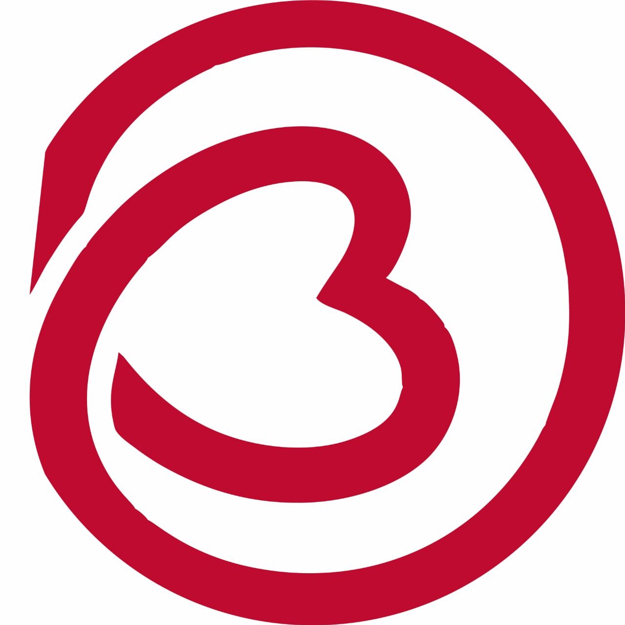 Brilliant Minds Logo